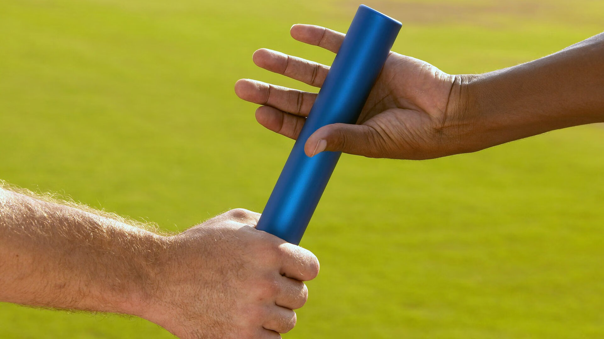 马术锦标赛赛事亮点回顾,马术比赛金牌